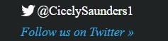twitter2a